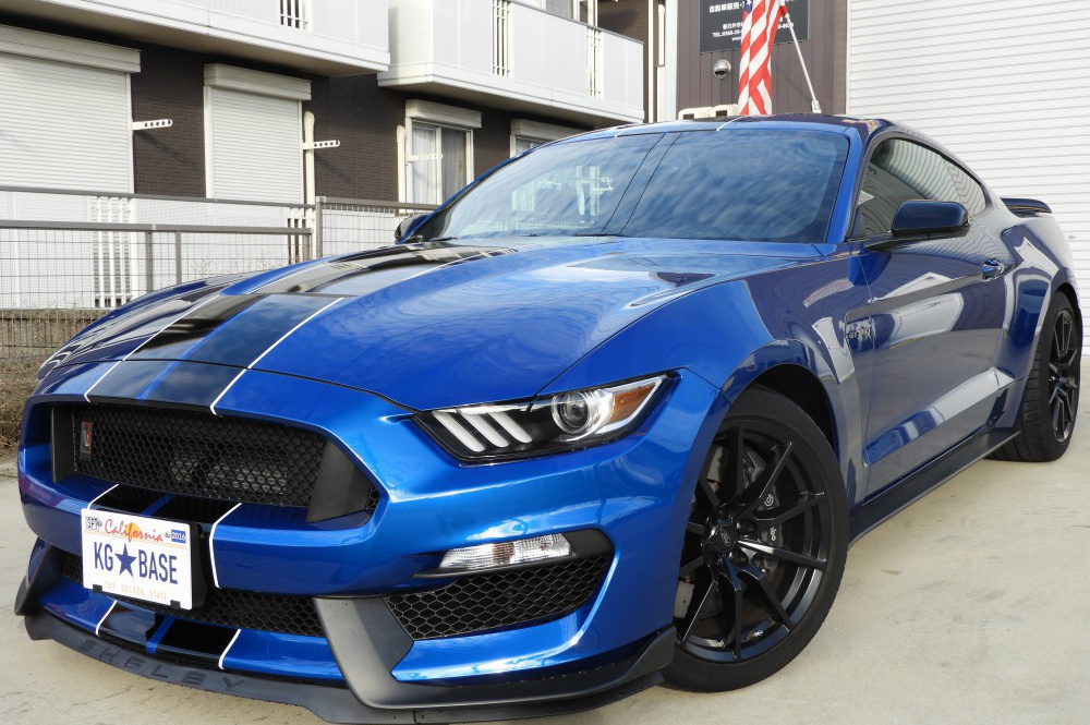 シェルビー買取